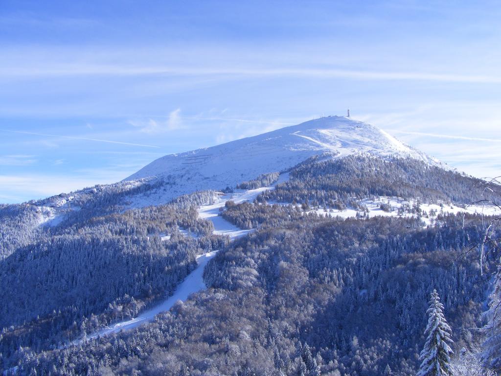 Alpine Mugon Hotel Vason Dış mekan fotoğraf